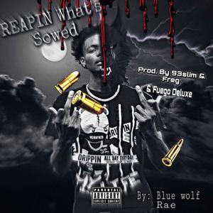 Reapin Whats Sowed (Explicit)