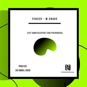 M.Snake (Original Mix)