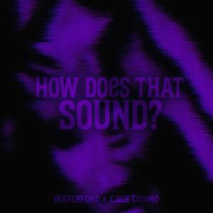 How Does That Sound? (feat. Cage Cosmo)