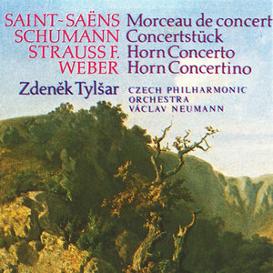 Concertino for French Horn and Orchestra in E minor, Op. 45: III. Polacca (attacca)