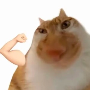 不怕不怕（哈基米）