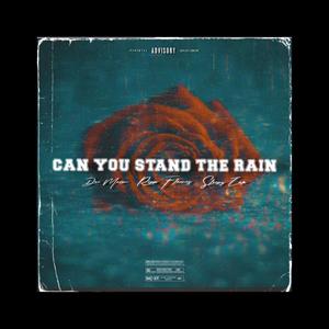 Stand The Rain (feat. Sleepy Zak & Ripp Flamez)