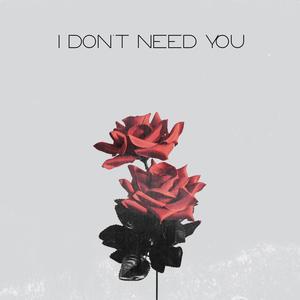 I Don't Need You(feat. Jordan Marcel) (Explicit)