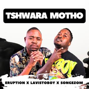 Tswhara motho (feat. Songezom & Lavistoboy) (Radio Edit)