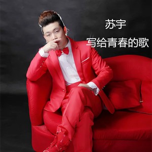 写给青春的歌