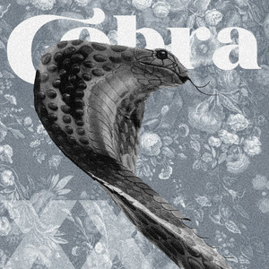 Cobra xx