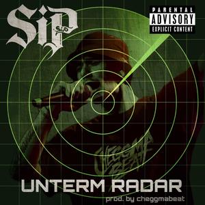 Manchmal mach ich so (feat. cheggmabeat) (Explicit)