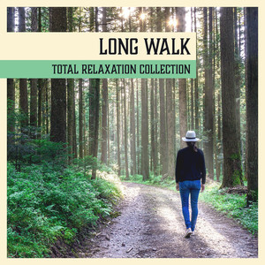 Long Walk: Total Relaxation Collection - Relax to the Sounds of Nature, Soothing Forest Music, Healthy Lifestyle, Find Yourself