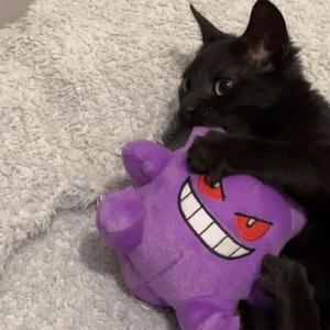 Rocky (feat. Freexe) (Explicit)