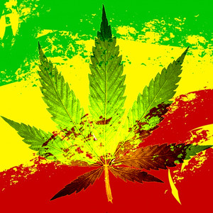 Planta Louca 2 (Explicit)