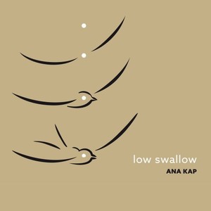 Low Swallow