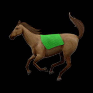 Horses (Explicit)