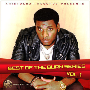 Best of Burn Series, Vol. 1 (Explicit)