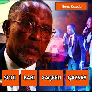 Sool Bari Xageed Gaysay