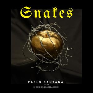 Snakes (feat. Lexxision & ShakebaxxFon) (Explicit)