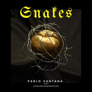 Snakes (feat. Lexxision & ShakebaxxFon) [Explicit]