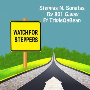 Steppas N, Sonatas (feat. 801g.way) [Explicit]