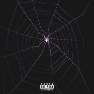 Web of Lies (Explicit)