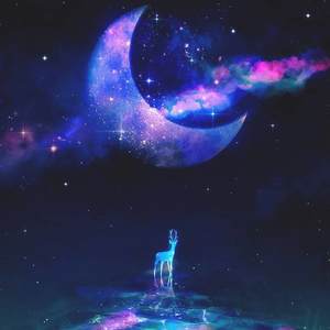 moon river (w. plum viphurit)