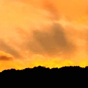 ain't nobody mad but the devil (feat. AceWho) (Explicit)