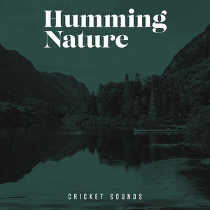 Humming Nature