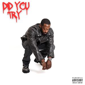 Did You Try (EP) [Explicit]