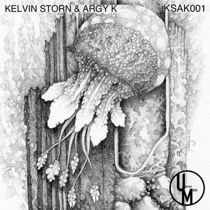 Ksak002 (Original Mix)