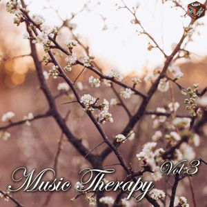 Music Therapy, Vol. 3