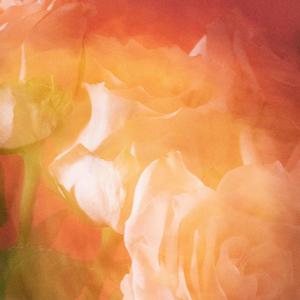 Throw My Towel (Explicit)