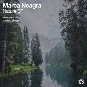 Nature (Gabriel Carminatti Remix)