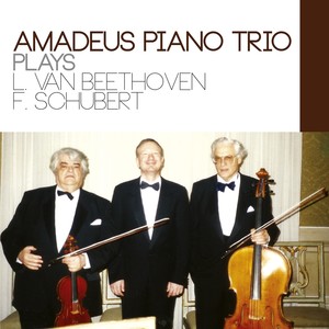 Piano Trio in E-Flat Major, Op. 100, D. 929 - II. Andante con moto