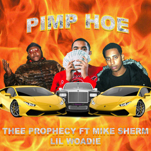 P**p Hoe (Explicit)