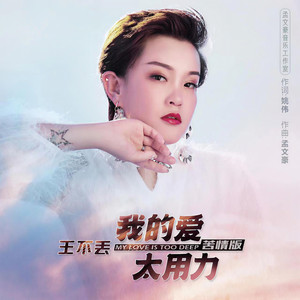 我的爱太用力 (苦情版)
