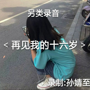 再见我的十六岁