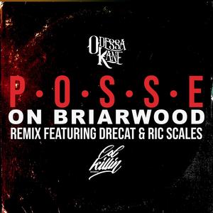Posse On Briarwood (feat. Drecat & Ric Scales) (Explicit)