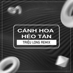 Cánh Hoa Héo Tàn (Triệu Long Remix)