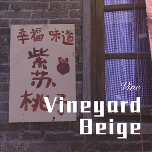 催嫁   沙玛诗薇 (Remix)