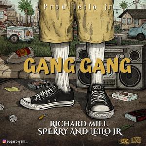 GANG GANG (Explicit)