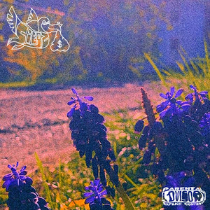 Like This (Explicit)