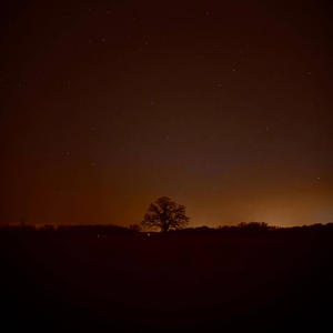 LOVE TURNED TO ASHES (Explicit)