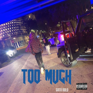 Too Much (Explicit)