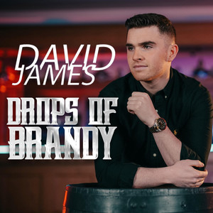 David James - Wouldn't Want It Any Other Way