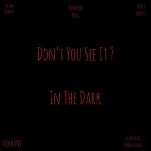 Don't You See It In The Dark (feat. Cold Chris & Elemental Productions)