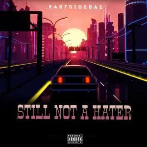 Still not a hater (Explicit)