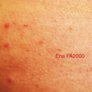 Pernas Abertas Nas Desertas (Explicit)