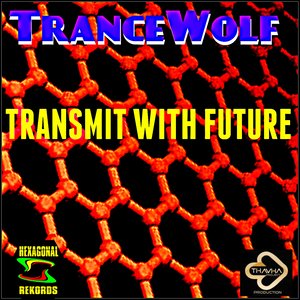 Transmit with Future (Thavha Project Version)