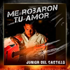 Me robaron tu amor