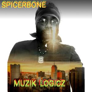 Muzik Logicz