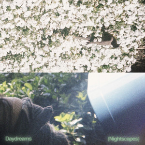 像梦一样的夜,不是吗?