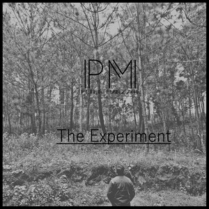 The Experiment